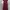 Cottagecore Maxi Dress Wanita Burgundy