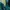 MLB Streetwear Sportswear Bomber jacket Pria green photo 5