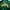 MLB Streetwear Sportswear Bomber jacket Pria green photo 3