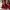 Valentino Luxury Heels Wanita Red