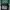Japanese brand Casual T-shirt Pria green black photo 1