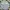 Crocodile Luxury Casual Sweatshirt Pria multicolor photo 2