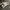 New Balance Streetwear Gorpcore Casual shoe Pria gray photo 3
