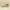 Skechers Streetwear Sportswear Sneakers Pria tan photo 1