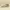 Skechers Streetwear Sportswear Sneakers Pria Tan