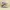 Skechers Streetwear Sportswear Sneakers Pria tan photo 4