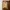 Polo Ralph Lauren Minimalist Casual Polo shirt Pria tan photo 1