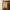Polo Ralph Lauren Minimalist Casual Polo Shirt Pria Tan