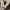 Polo Ralph Lauren Minimalist Casual Polo shirt Pria tan photo 4