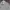 The North Face Vintage Streetwear Parka Pria cream photo 2
