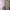 The North Face Vintage Streetwear Parka Pria cream photo 6