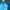Sportswear Gilet Wanita multicolor blue photo 2