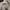 Acne Studios Luxury Casual Hoody Wanita gray photo 6