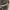 Acne Studios Luxury Casual Hoody Wanita gray photo 4
