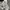 Dior Luxury Casual T-shirt Pria white black photo 7