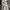 Dior Luxury Casual T-shirt Pria white black photo 6