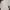 GAP Casual Fur Coat Kids White