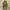 Carhartt Vintage Streetwear Jumper Pria Brown