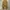 Carhartt Vintage Streetwear Jumper Pria brown photo 2