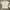 Polo Ralph Lauren Luxury Casual Wanita white photo 2