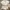Polo Ralph Lauren Luxury Casual Wanita white photo 1