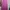 Minimalist Skirt Wanita pink photo 1