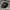 New Era Sportswear Hat Pria black photo 2