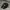 New Era Sportswear Hat Pria Black