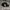 New Era Sportswear Hat Pria black photo 3