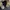 Alpha Industries Vintage Y2K Parka Pria black photo 3