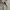 Burberry Vintage Casual shirt Pria silver photo 4
