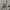 Burberry Vintage Casual shirt Pria silver photo 7