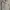Burberry Vintage Casual shirt Pria silver photo 1