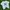 Japanese Brand Streetwear Casual T-shirt Pria White