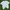 Fred Perry Sportswear Casual T-shirt Pria white photo 1