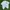 Hanes Vintage Streetwear T-shirt Pria white gray photo 2