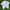 Hanes Vintage Streetwear T-shirt Pria White Gray