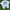 Hanes Vintage Streetwear T-shirt Pria white gray photo 1