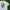 A Bathing Ape Vintage Luxury T-shirt Pria white photo 2
