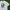 A Bathing Ape Vintage Luxury T-shirt Pria White