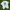A Bathing Ape Vintage Luxury T-shirt Pria white photo 1