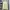 Snow Peak Casual Sweatshirt Pria cream photo 1