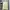 Snow Peak Casual Sweatshirt Pria Cream