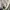Snow Peak Casual Sweatshirt Pria cream photo 6