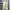 Snow Peak Casual Sweatshirt Pria cream photo 2