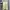Snow Peak Casual Sweatshirt Pria Cream
