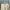 Snow Peak Casual Sweatshirt Pria cream photo 3