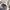 Snow Peak Casual Sweatshirt Pria cream photo 5
