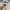 Snow Peak Casual Sweatshirt Pria cream photo 4