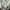 Snow Peak Casual Sweatshirt Pria cream photo 7